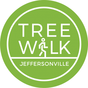 Jeff Tree Walk